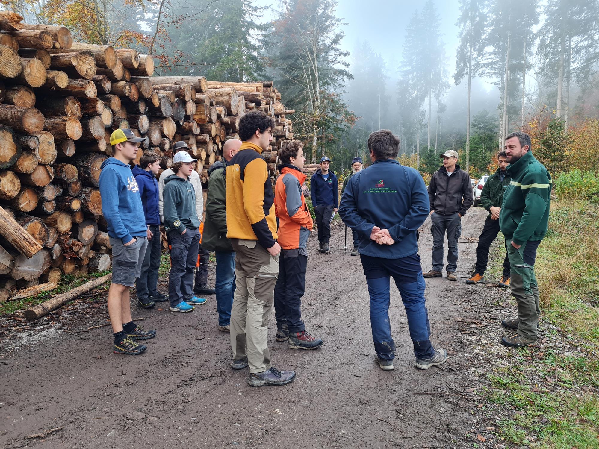 Retour d'expérience sur des chantiers de plantation en forêt publique et privée