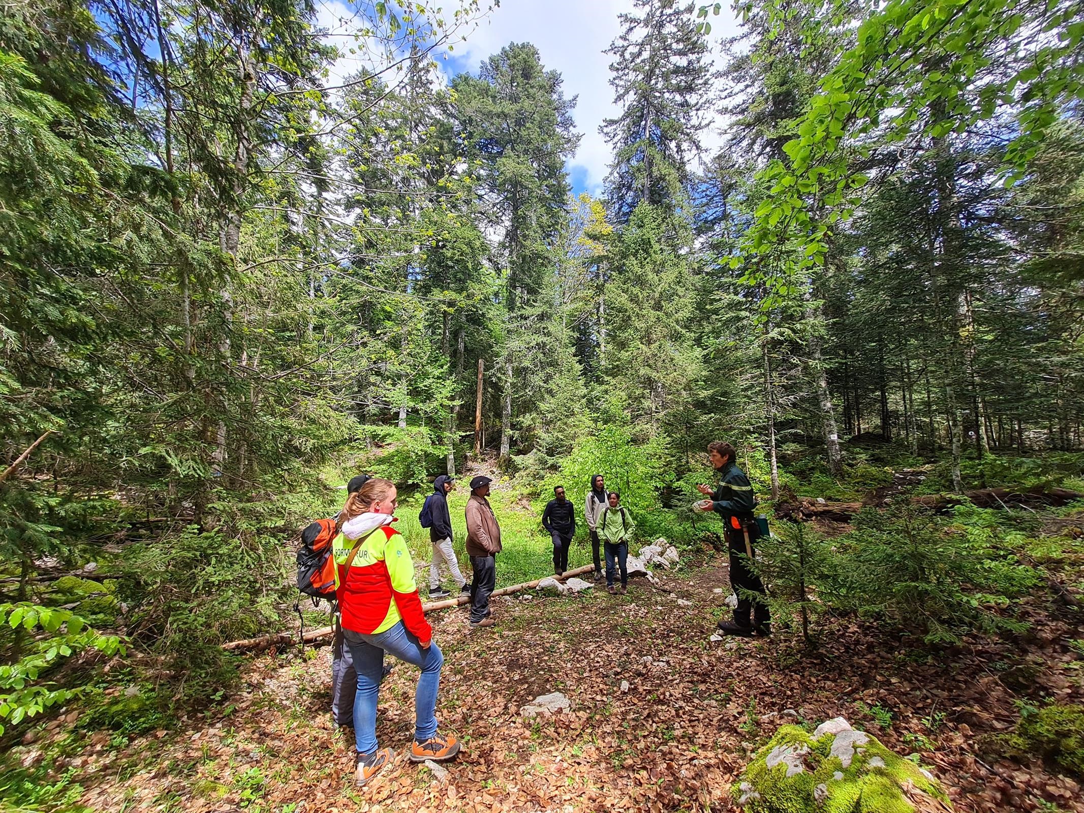 Découverte des métiers de la forêt : Un nouvel atelier réussi pour les demandeurs d'emploi