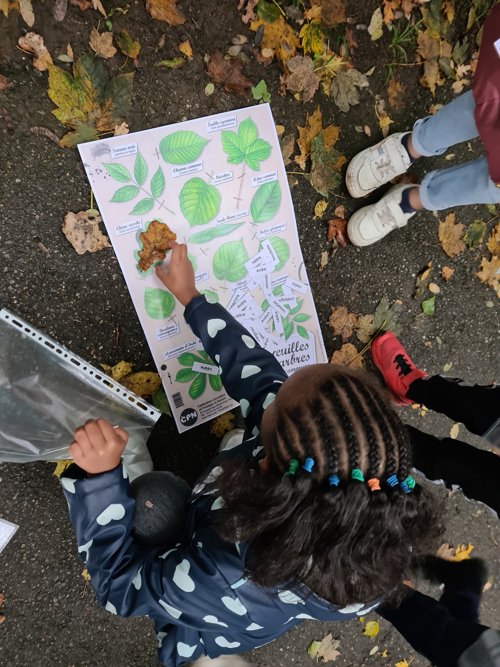 Parcours pégagogique sur le bois et la forêt dans une école de Chambéry