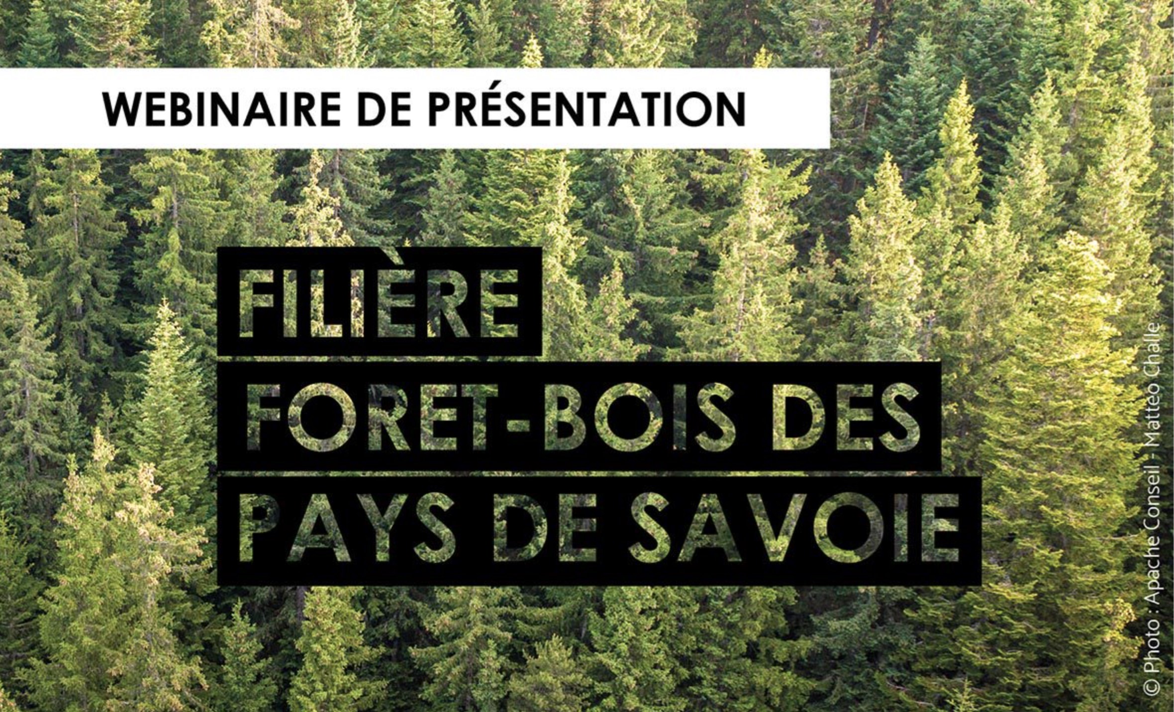 Nouveau webinaire de présentation de la filière Forêt-Bois des pays de Savoie.