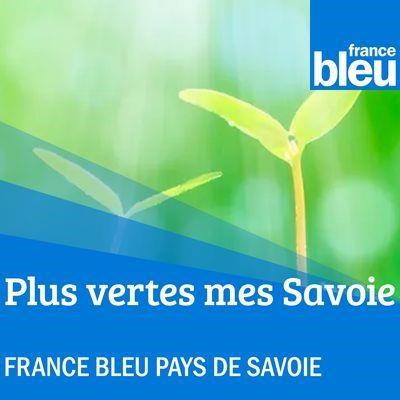 Plus verte mes Savoie, passage du Pôle Excellence Bois chez France Bleu Pays de Savoie.