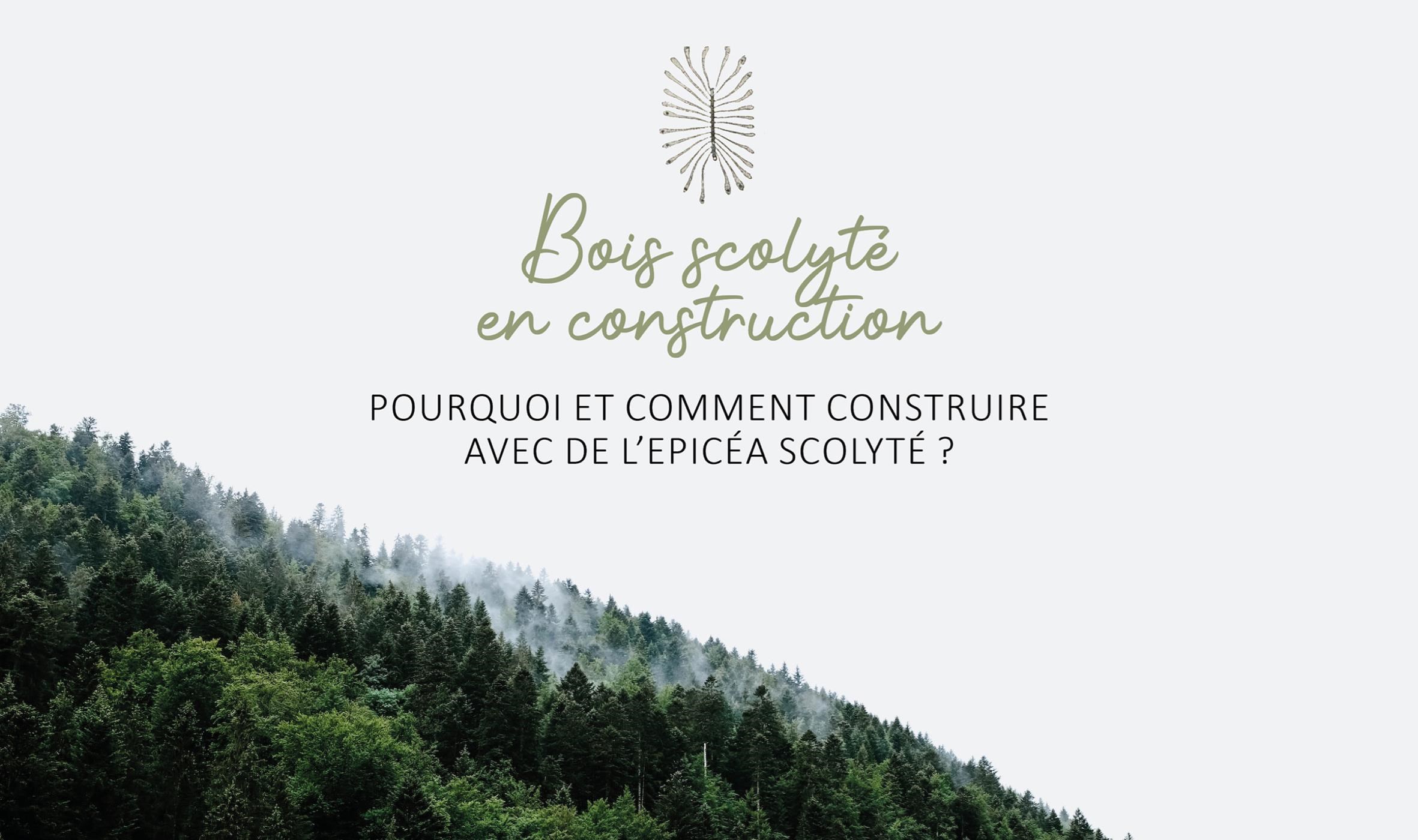 Conférence : Pourquoi et comment construire avec de l'épicéa scolyté ?