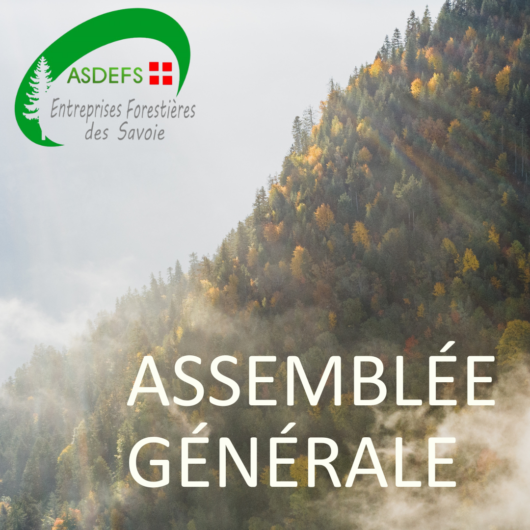 Assemblée Générale de l'ASDEFS