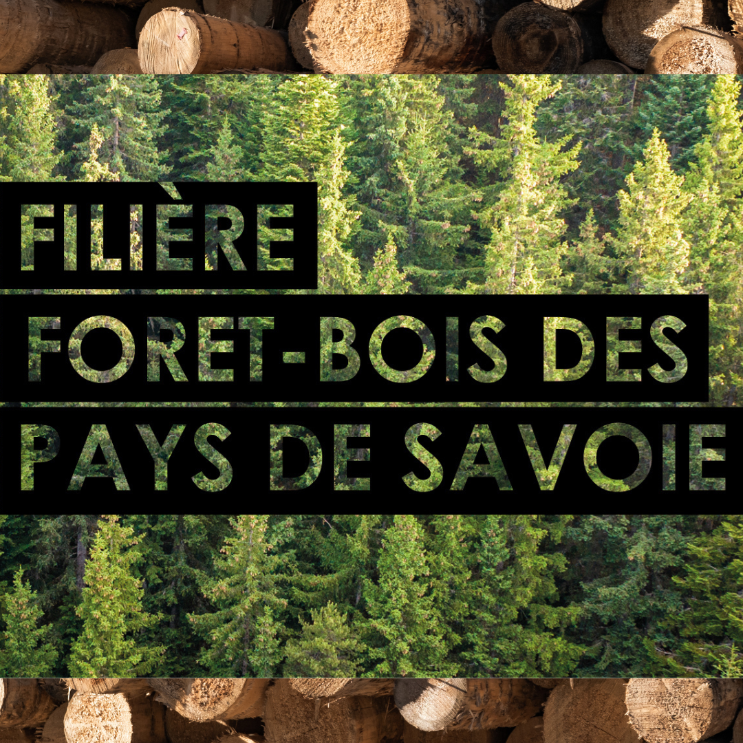 Webinaire de présentation de la filière Forêt-Bois des pays de Savoie