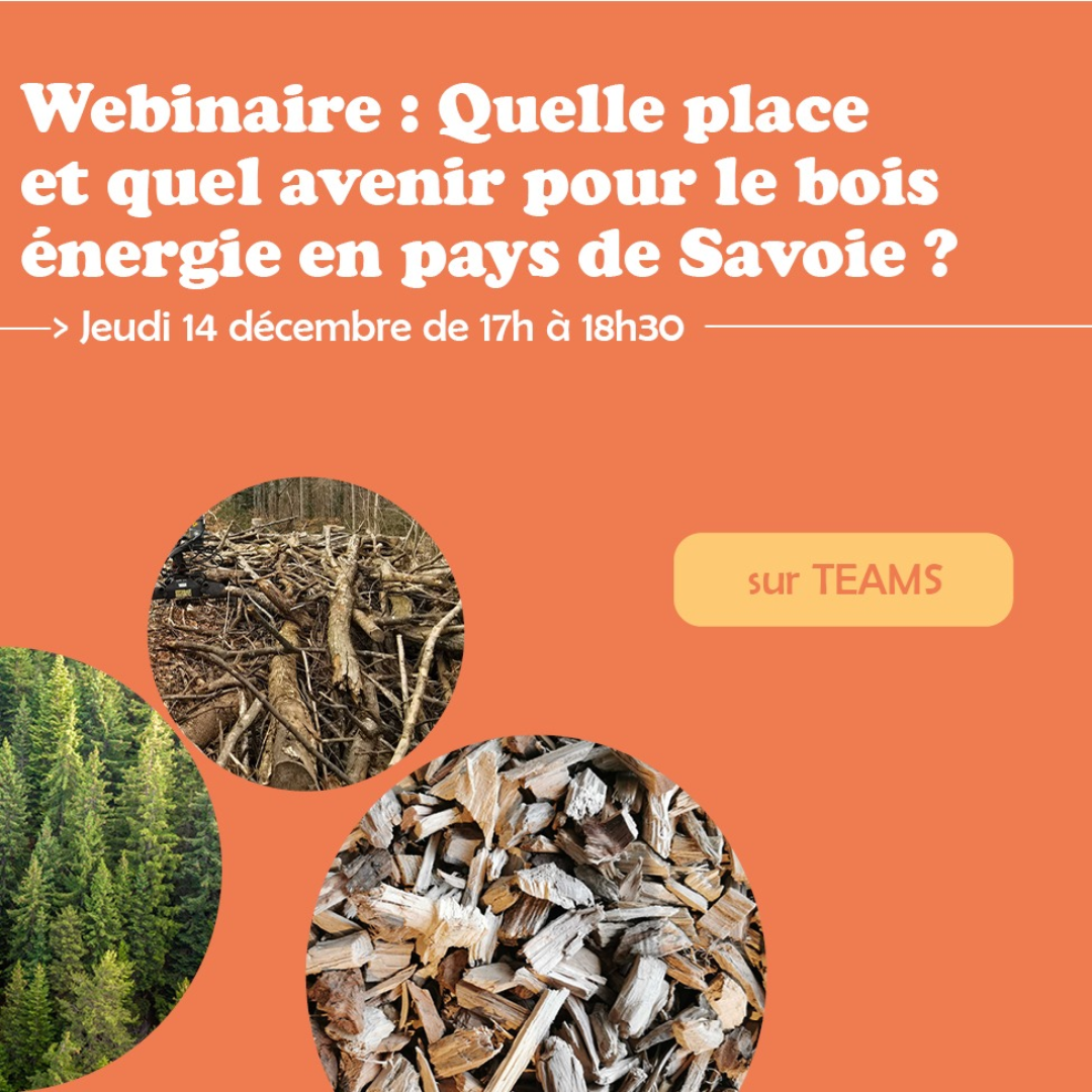 Wébinaire : Quelle place et quel avenir pour le bois énergie en Pays de Savoie ?